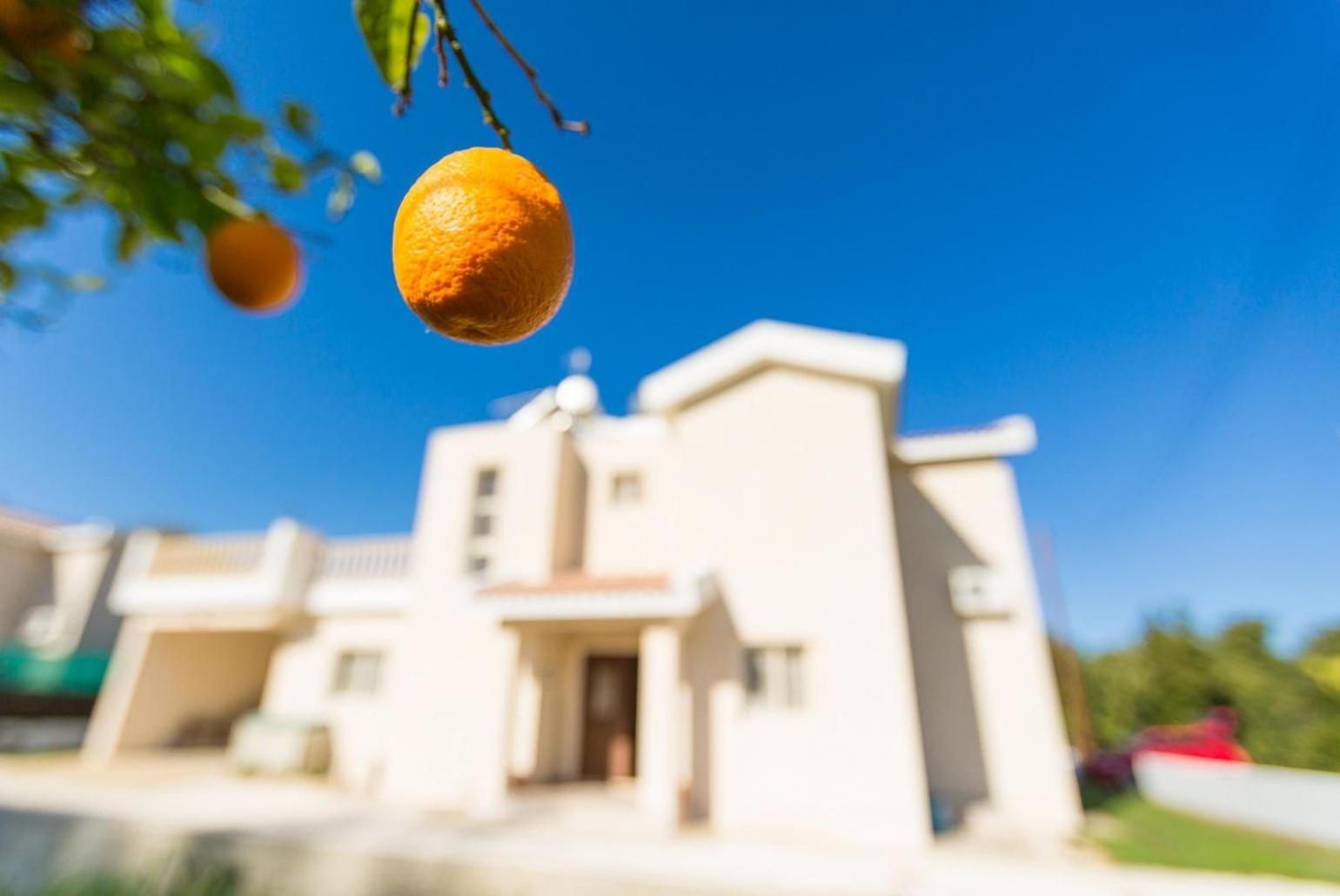 Kato Yialia Villa Clementina מראה חיצוני תמונה